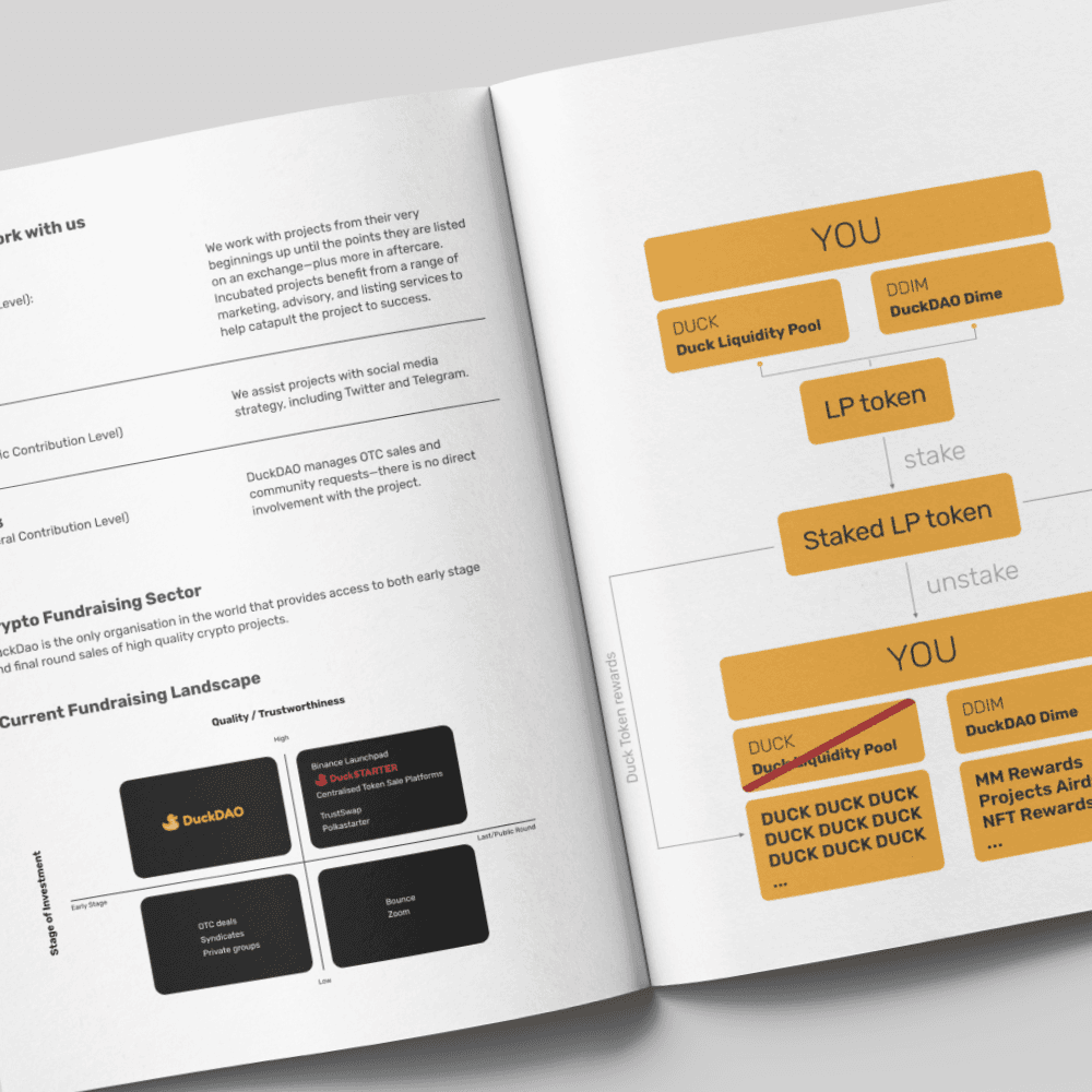 UI design and corporate communication for DuckStarter